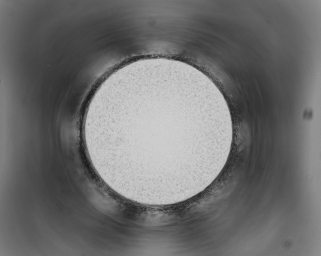 X0000100340632200807031259