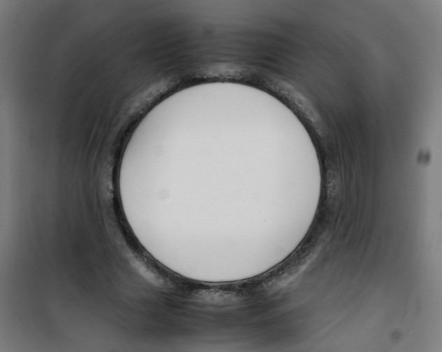 X0000100340633200807031259