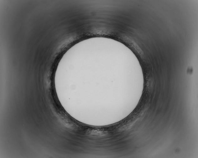 X0000100340635200807031259