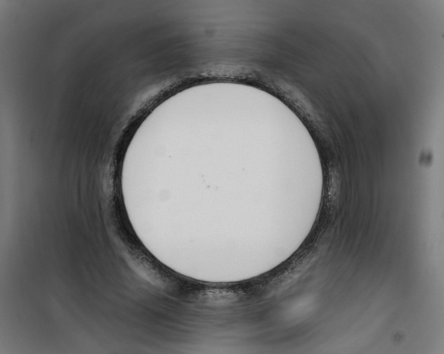 X0000100340636200807031259