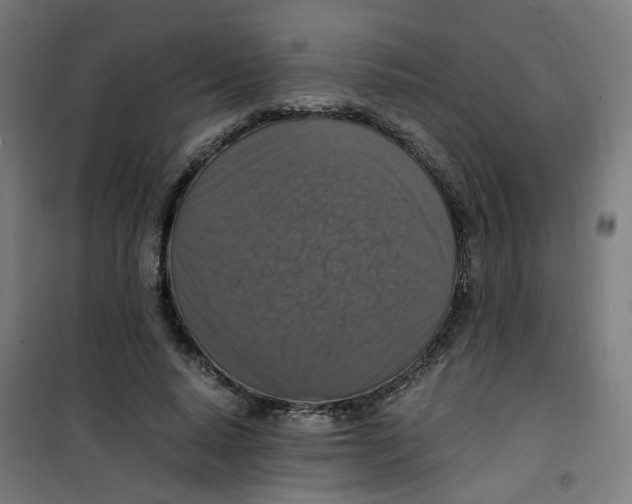 X0000100340640200807031259