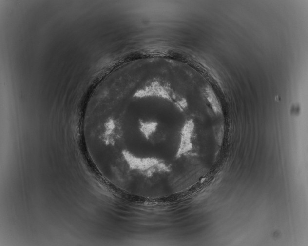 X0000100340641200807031259