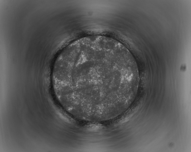 X0000100340642200807031259