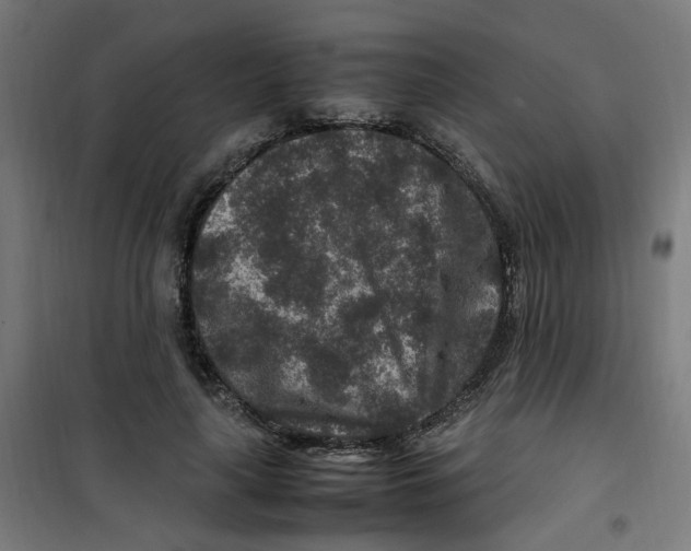 X0000100340643200807031259