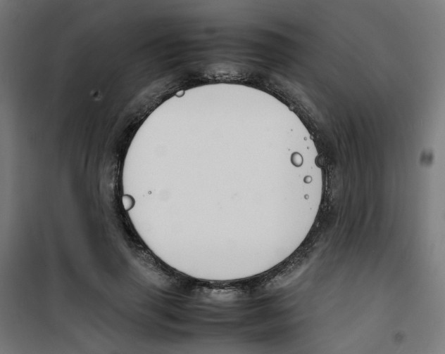 X0000100340645200807031259