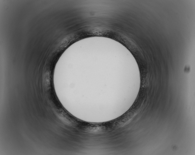 X0000100340646200807031259