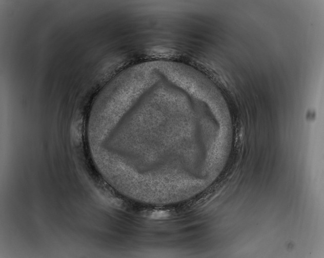 X0000100340647200807031259