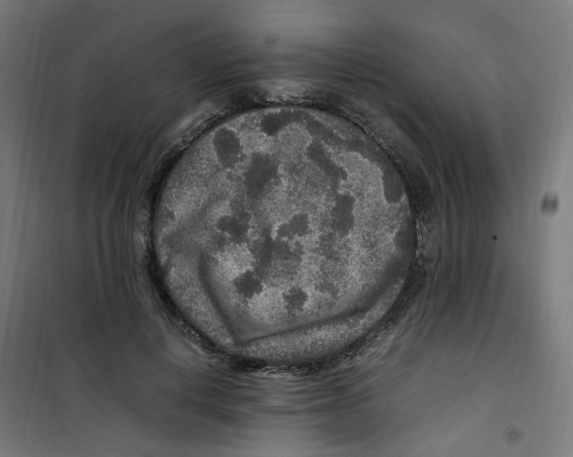 X0000100340648200807031259