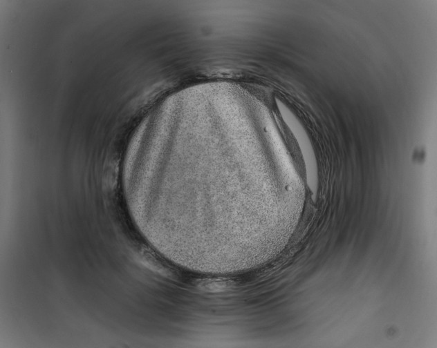 X0000100340652200807031259