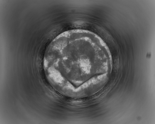 X0000100340653200807031259