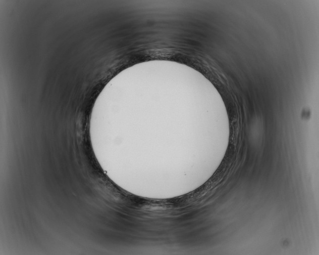 X0000100340655200807031259