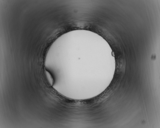 X0000100340656200807031259