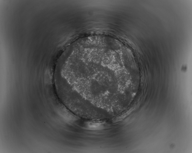 X0000100340661200807031259