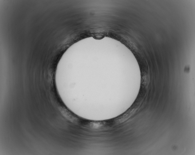 X0000100340662200807031259