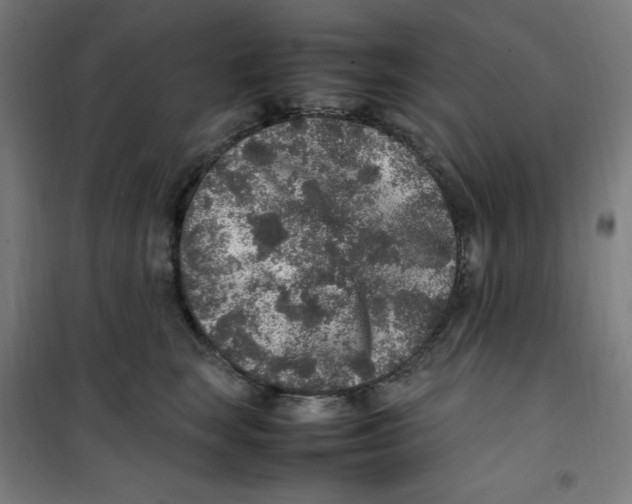 X0000100340663200807031259