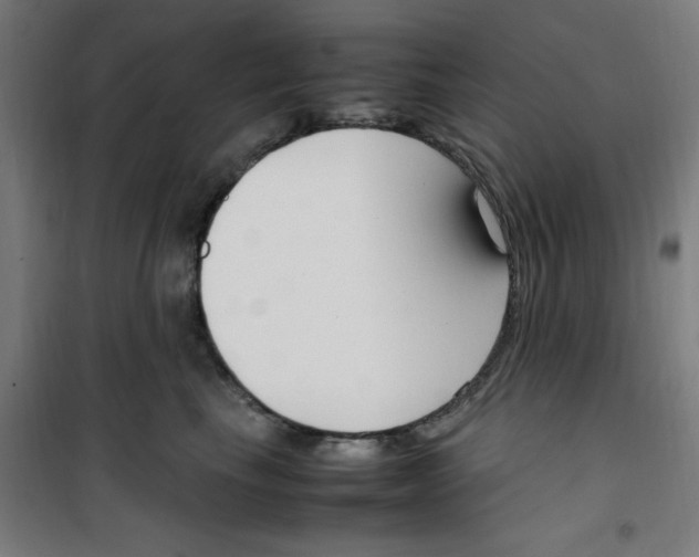 X0000100340665200807031259