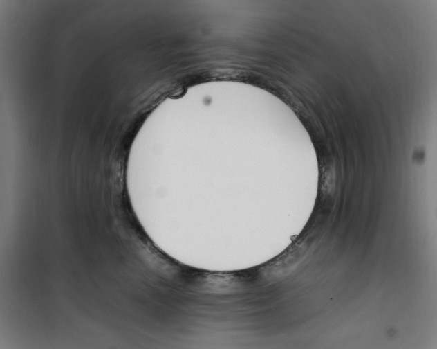 X0000100340666200807031259