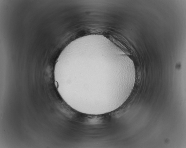 X0000100340667200807031259