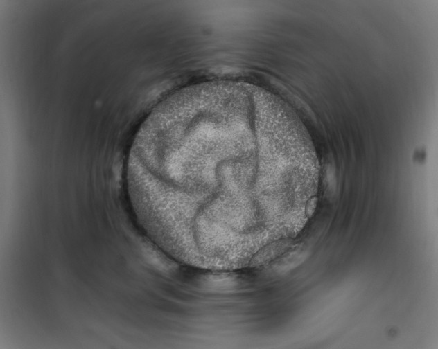 X0000100340668200807031259