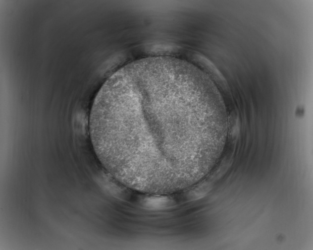 X0000100340669200807031259