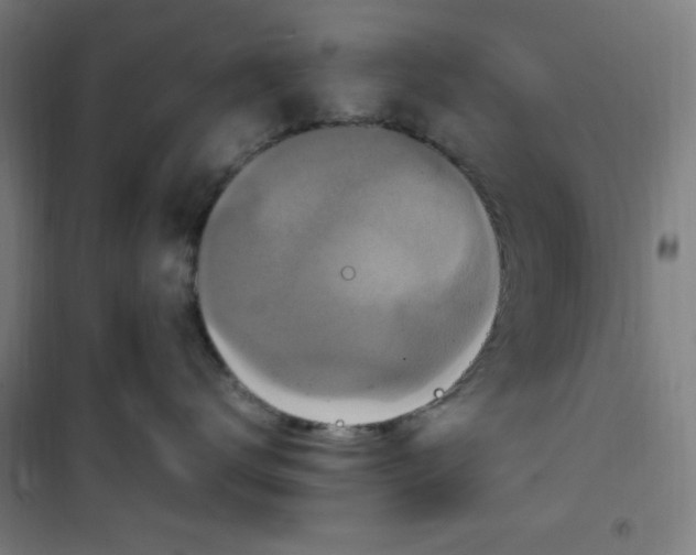 X0000100340672200807031259