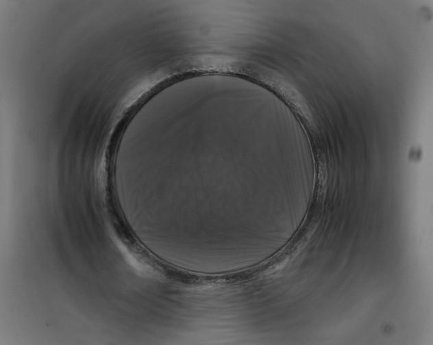 X0000100340674200807031259