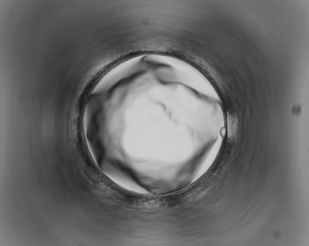 X0000100340675200807031259