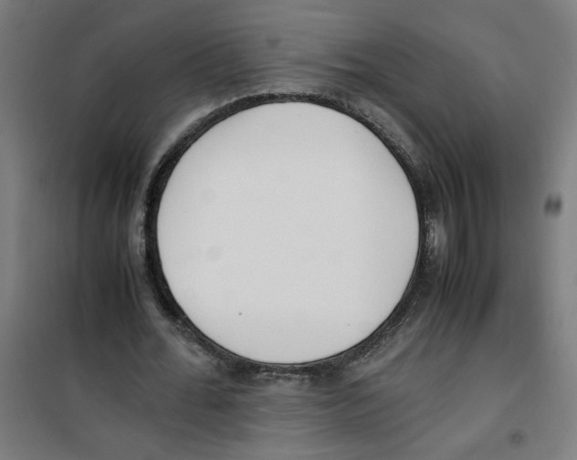 X0000100340676200807031259