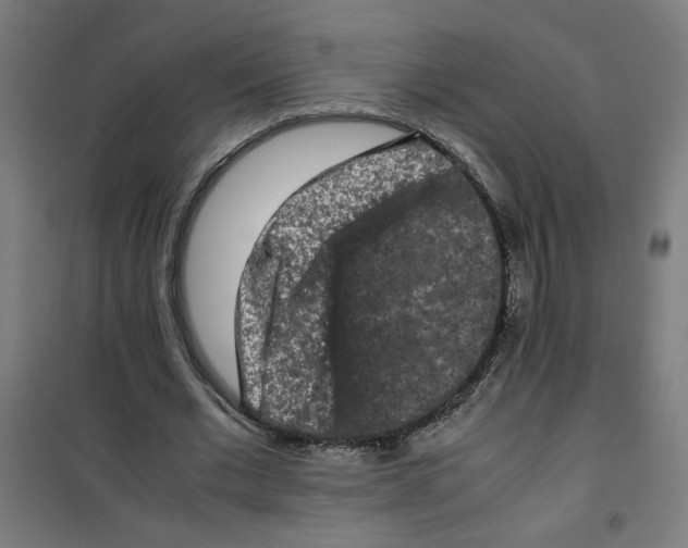 X0000100340677200807031259