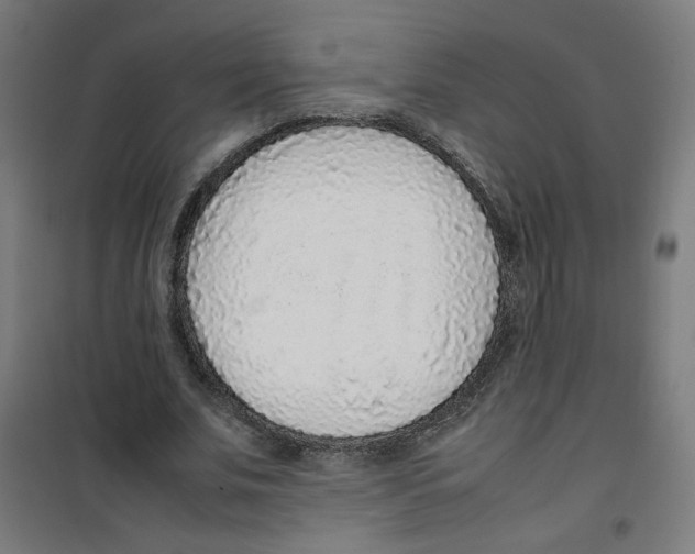 X0000100340679200807031259