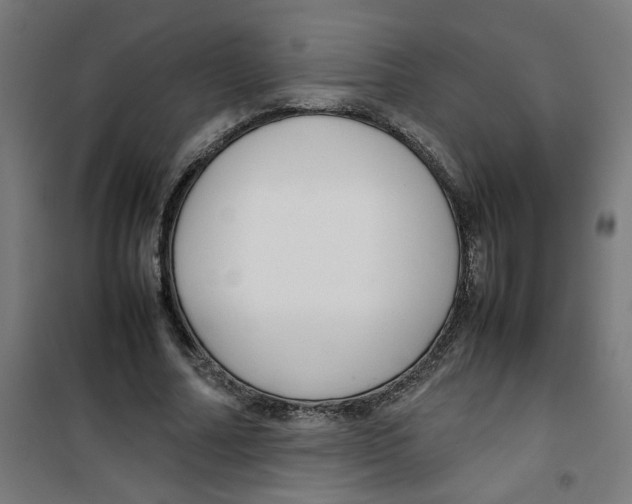 X0000100340682200807031259