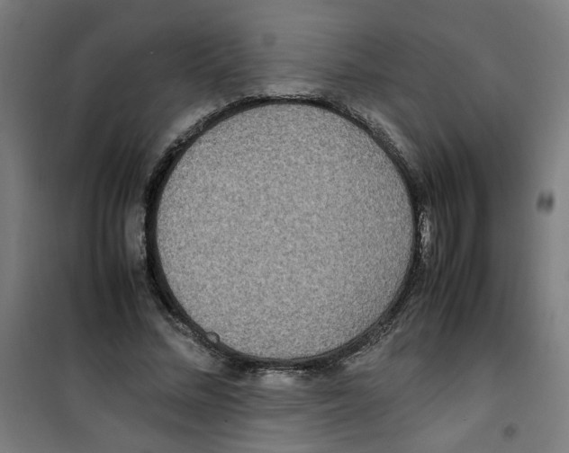 X0000100340684200807031259