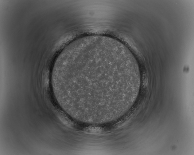 X0000100340685200807031259