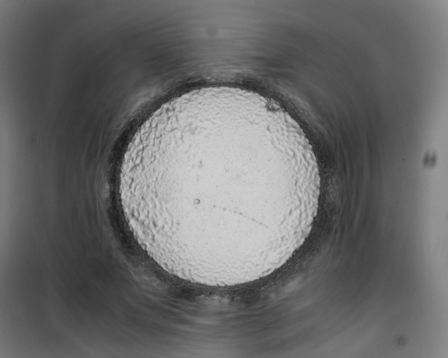 X0000100340687200807031259