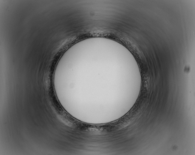 X0000100340690200807031259