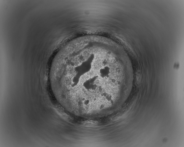 X0000100340691200807031259