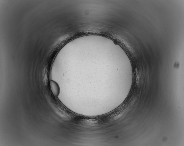 X0000100340692200807031259