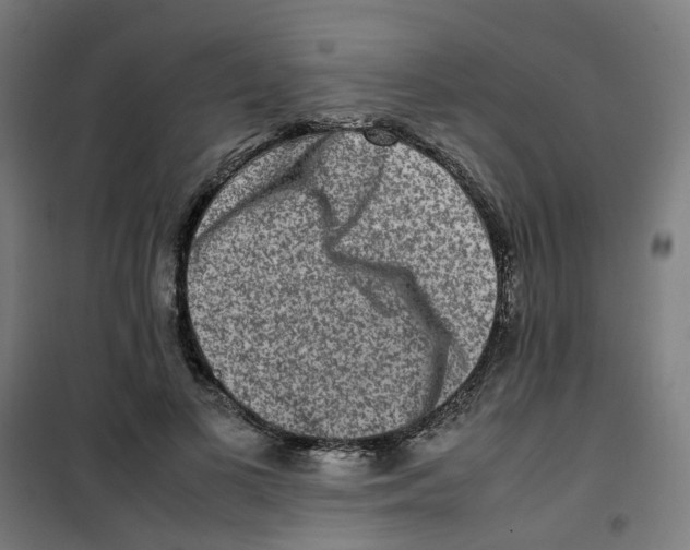 X0000100340693200807031259