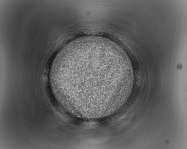 X0000100340695200807031259