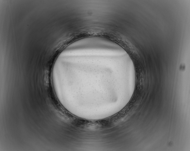 X0000100340696200807031258