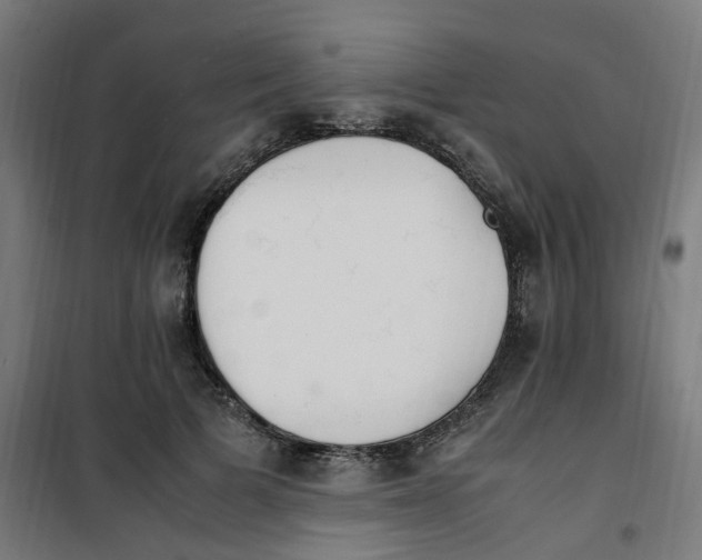 X0000100340697200807031258