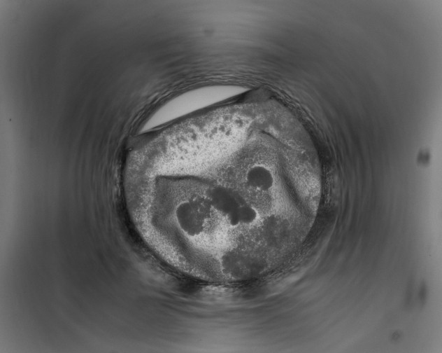 X0000100340699200807031258