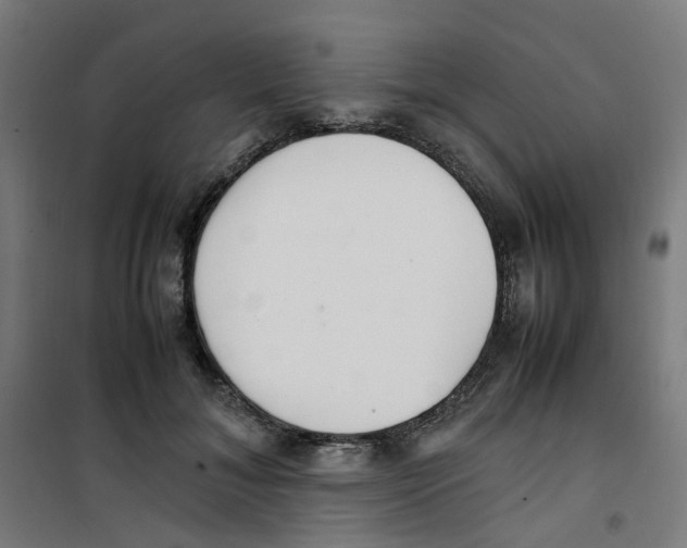 X0000100340700200807031258