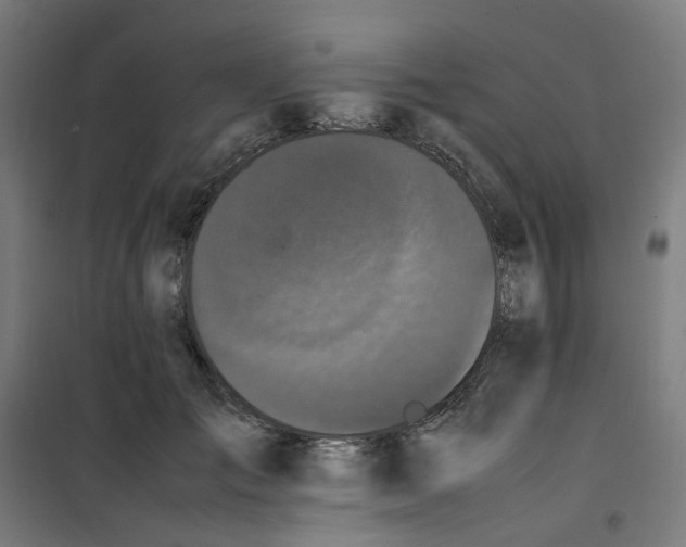 X0000100340701200807031258