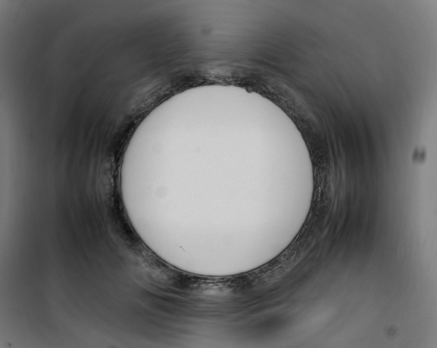 X0000100340702200807031258