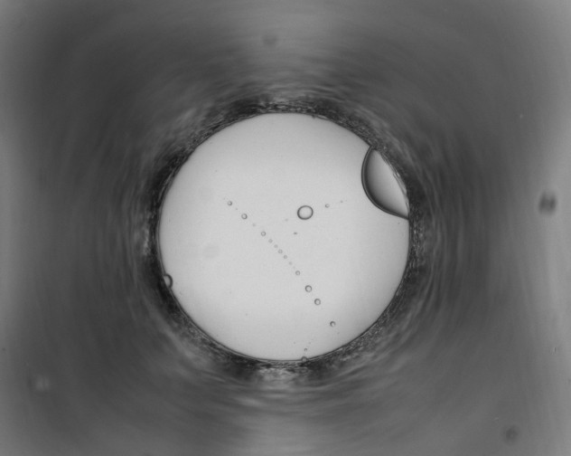 X0000100340703200807031258