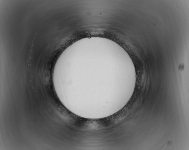 X0000100340704200807031258