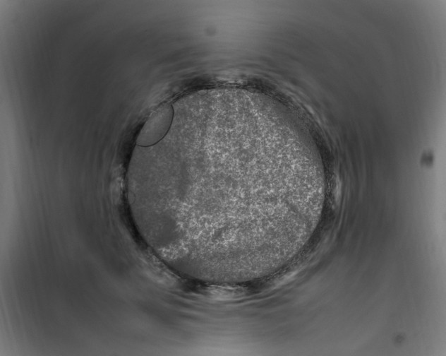 X0000100340707200807031258