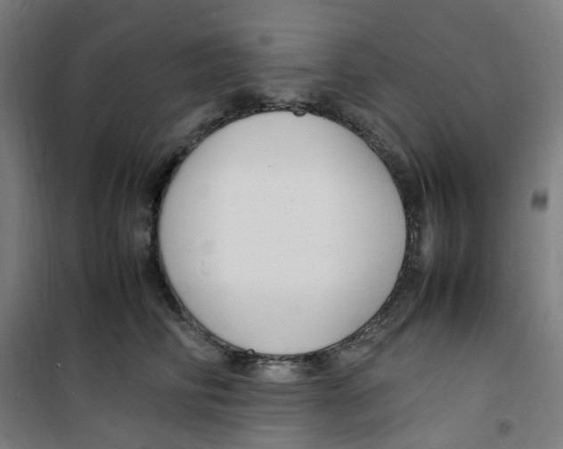 X0000100340710200807031258