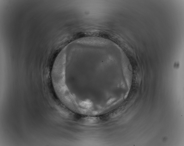 X0000100340711200807031258